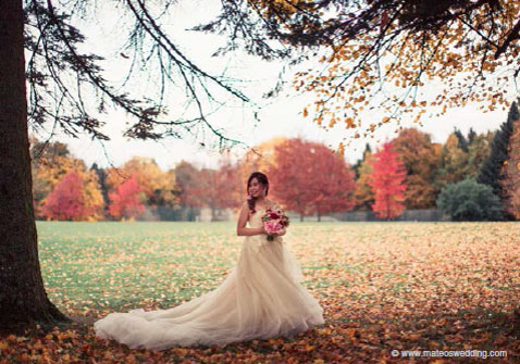 Wedding bride in autumn